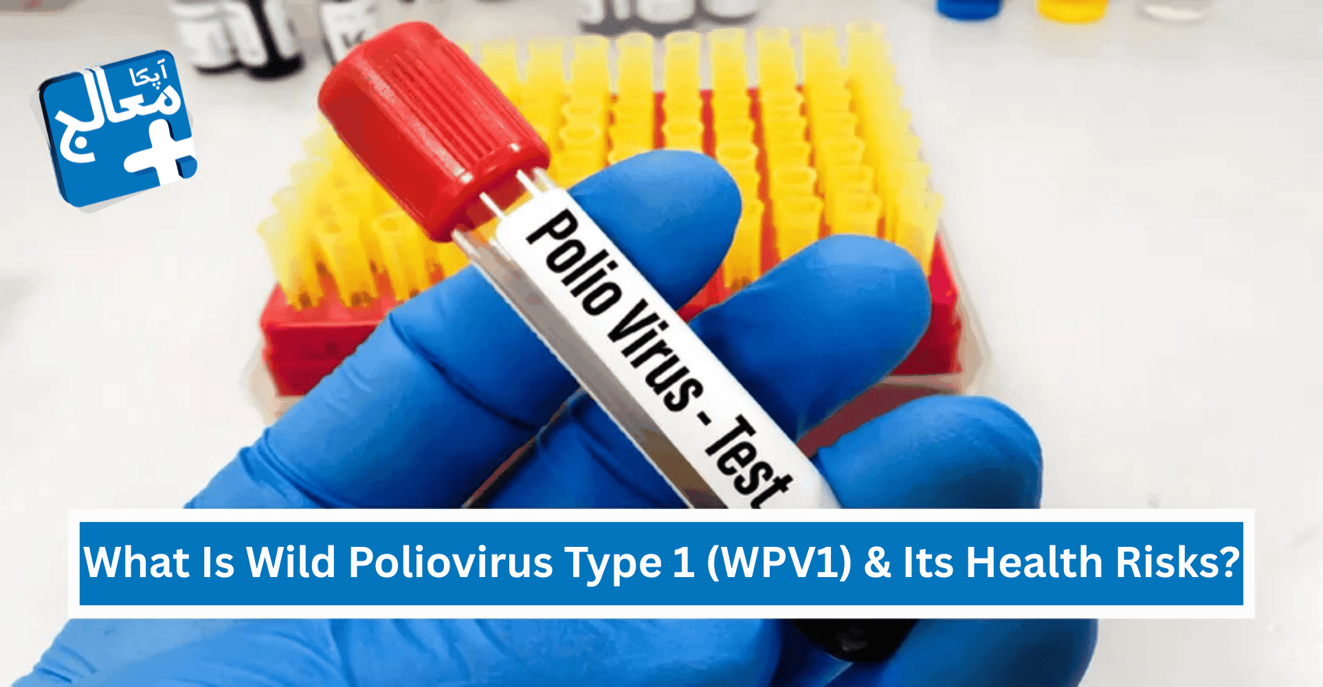 What Is Wild Poliovirus Type 1 (WPV1) & Its Health Risks? | Apka Muaalij What Is Wild Poliovirus Type 1 (WPV1) & Its Health Risks? | Apka Muaalij