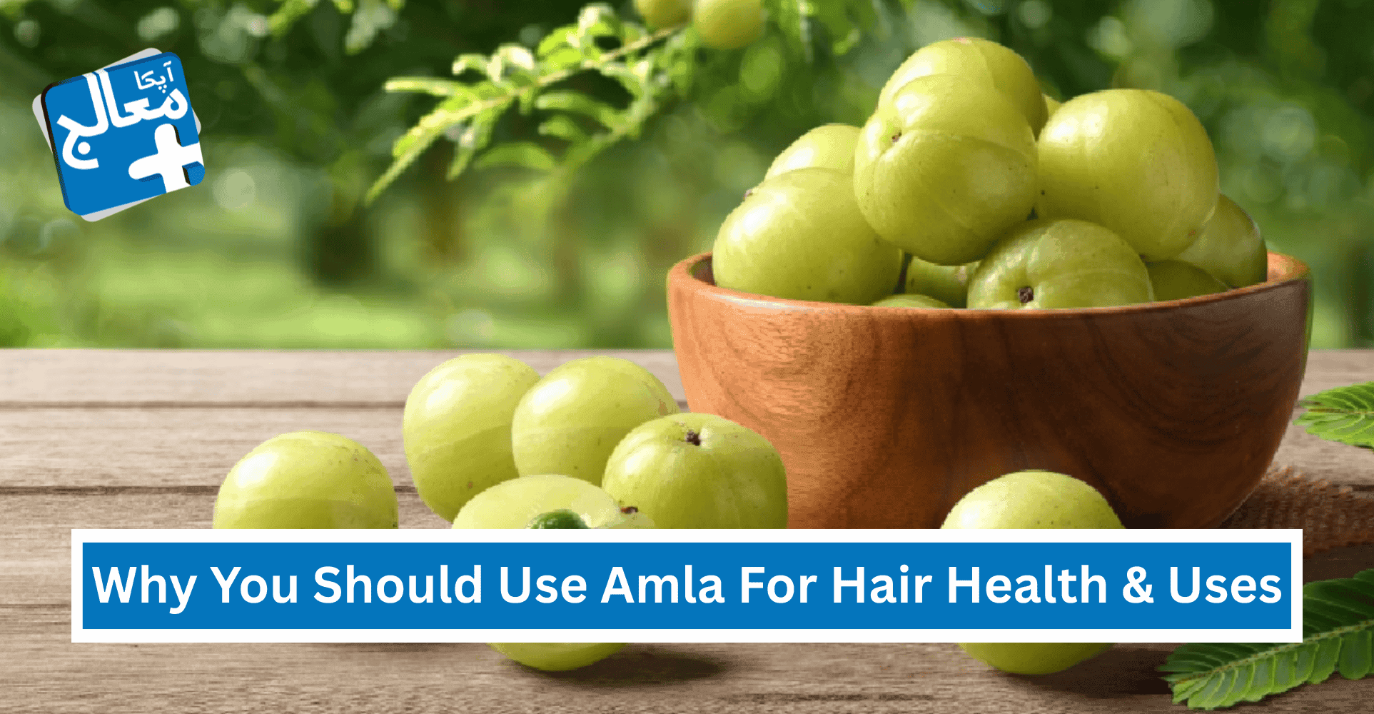 11 Proven Reasons To Use Amla For Hair Health & Easy Uses | Apka Muaalij 11 Proven Reasons To Use Amla For Hair Health & Easy Uses | Apka Muaalij