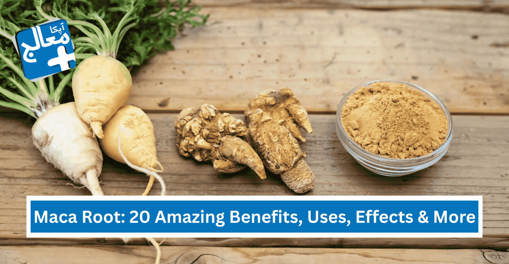 Maca Root In Urdu: 20 Amazing Benefits, Uses, Effects & More | Apka Muaalij Maca Root In Urdu: 20 Amazing Benefits, Uses, Effects & More | Apka Muaalij