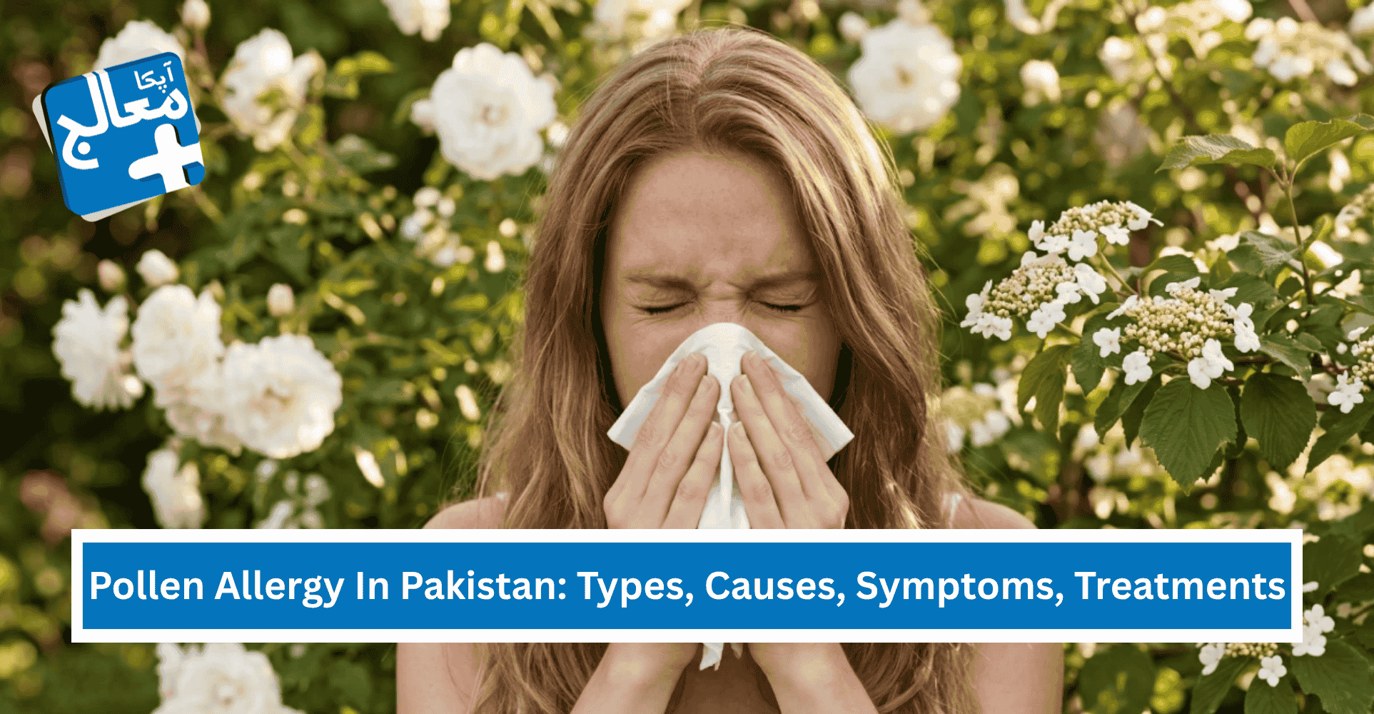 Pollen Allergy In Pakistan: Types, Causes, Symptoms, Treatments & More | Apka Muaalij Pollen Allergy In Pakistan: Types, Causes, Symptoms, Treatments & More | Apka Muaalij
